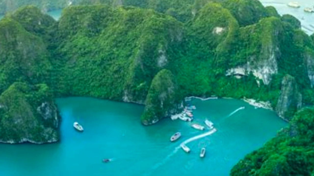 Tiêu Chí Chọn Lựa Đơn Vị Du Lịch Uy Tín - đơn vị triển khai du lịch hạ long uy tín